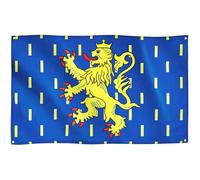 Runesol Bandiera della Franca Contea, 91x152cm, 3ft x 5ft, 4 Occhielli, Un Occhiello in Ogni Angolo, Leone Coronato Rampante, Contea Libera dalla Borgogna, Interno, Esterno, Colori Vividi