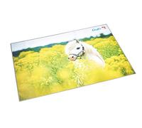 Runner con motivo scrittura a rilievo Pferd im Rapsfeld