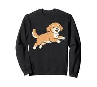 Running Cavapoo Dog Breed Mom Pet Lovers Owner Felpa