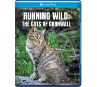 Running Wild: The Cats Of Cornwall (Blu-ray)