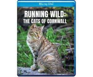 Running Wild: The Cats Of Cornwall (Blu-ray)
