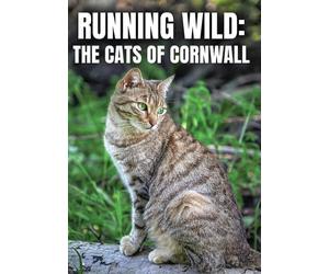 Running Wild: The Cats Of Cornwall (DVD)