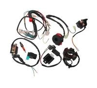 RUNROTOO Cablaggio Elettrico per Atv e Go Kart con 6 Coil e 5 Fili, Soluzione Robusta in Metallo e Plastico per Motocross e Fuoristrada