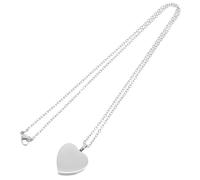 RUNROTOO Collana Ciondolo Commemorativo a Forma di Cuore in Acciaio Inossidabile per Ceneri di Animali Domestici Urna Cineraria Compatta Scomparto Nascosto per Ricordo Personale e Viaggi
