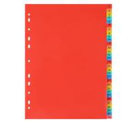 RUNROTOO Divisori per Raccoglitori A4 31 Livelli in Pvc Rosso, Leggeri e Resistenti, per Lavoro e Casa, Set 1 Pezzo per Organizzare Documenti