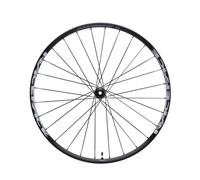 Ruota anteriore a turbina Race Face SL 25 boost Gris