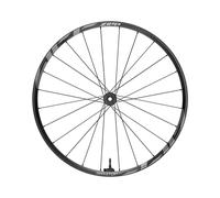 Zipp Am 1zero Hitop Sw 29 isc Tubeless Mtb Front Wheel Argento 15 x 110 mm