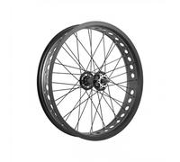 Ruota Anteriore FAT BIKE 20x4 Freno Disco 6 Fori Perno 3/8 Mozzo Sfere Cerchio Alluminio