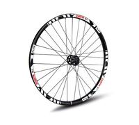 Gtr Sl35 Boost Plus 29´´ 6b Disc Tubeless Mtb Front Wheel Grigio 15 x 110 mm White