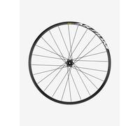Ruota anteriore Mavic Aksium Disc 19 - DISC_INTL_6_BOLTS