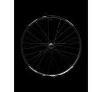 Shimano Xt M8200 29´´ Cl Disc Tubeless Mtb Front Wheel Nero 12 x 100 mm