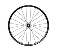Shimano Rx180 Disc Tubeless Front Wheel Argento 12 x 100 mm Black