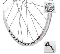 Ruota bici da corsa 700 con dinamo in mozzo a bloccaggio rapido ( Grigio / 28" (622-13mm) )
