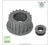 Ruota dentata Albero a gomiti Goom per RENAULT SCENIC MEGANE GRAND