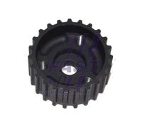 FAST FT45545 Ruota dentata Albero a camme