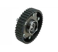 NTY Regolatore albero a camme compatibile con VOLVO RKZ-VV-000