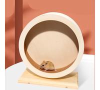 Ruota Per Esercizi Criceti Esercizio Del Ratto Silenzioso Criceto Giocattoli