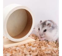 Ruota Per Esercizi Da Corsa Criceti Giocattolo Con La Del Criceto