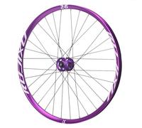 Ruota Per Mountain Bike Con Perno Passante 26/27,5/29 Pollici Anteriore 20x110mm Posteriore 12x148mm Ruote Freno A Disco Mozzi 32H Per 7-12 Velocità(Purple,29''-Front)