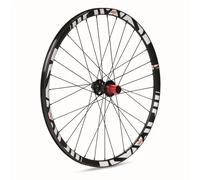 Gtr Sl23 29 isc Tubeless Mtb Rear Wheel Argento 9.5 x 135 mm / Sram XD Black / White