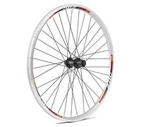 Ruota posteriore mountain bike con cassetta 8 v raggi Gurpil Zac Nero