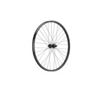 Ruota posteriore newmen forge 30 dh 29 boost 12x148 mm 6 bulloni
