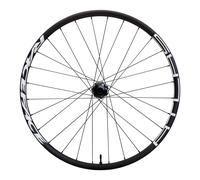 Ruota posteriore Race Face atlas 30 - 29 Gris