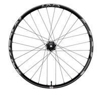 Ruota posteriore Race Face Era 30-29 Boost Gris