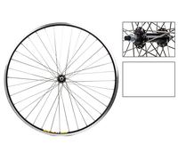 Ruota WM Anteriore 700x35 622x19 Wei Zac19 Bk Msw 36 Aly Bo 3/8 Bk Dti2.0sl