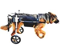 Ruote da passeggio Sedia a rotelle per Cani di Taglia Media Carrello per Animali Domestici Walkin Ruote Riabilitazione Zampe Posteriori, Imbracature per Auto per Cani Cani da 15-60
