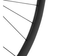 Ruote MTB 29" DT Swiss EX1700 Boost disco Centerlock nere (tubeless e tubetype)