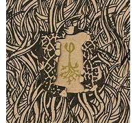 Rupa & The April Fishes - Build