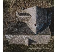 Rural Alberta Advantage The Rise & The Fall (OPAQUE GRAY VINYL) (Vinyl LP)