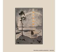 Rural Alberta Advantage The Wild (Vinyl LP)