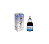 RUSCUSOL Int.Liq.50ml