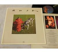 Rush - Signals
