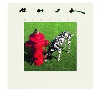 Rush - Signals - Cd