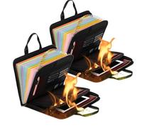 Rushclick File Folder, Large Capacity A4 Fireproof File Folder with Handle, fireproof file folder, Expanding with Colored Tabs, 26 Pocket, Detachable and Portable (With handle*2)