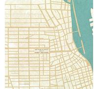 After the Fall Fort Orange (Vinyl LP) 12" Album