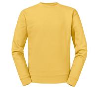 Russell Authentic Felpa Semplice Uomo (PC8208)