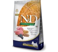 russo mangimi spa N&d ancestral cereals canine lamb & blueberry adult mini 2,5 kg