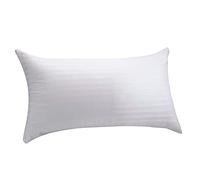 Russo Tessuti Set 2 Pezzi Federe Cuscini Guanciali Traspirante Igienico 50x80 Zip Stop Acari