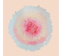 Rustad Signe Marie - When Words Flew Freely