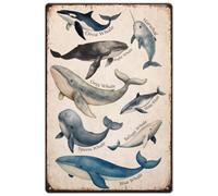 Rustico Cartello in Metallo Whales Whale Illustrations Ocean Animal Segnali di regola Tavolo da gioco per Garage,Ambientazione retrò,Pub,Genitori S