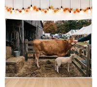 Rustico fattoria mucca e agnello scena autunno sfondo banner 210,8 x 149,9 | Fienile rustico, sfondo fotografico, animali della fattoria, estetica della campagna, tema agricolo, stagione del raccolto