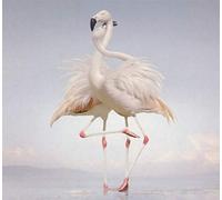 Rustie - Green Language