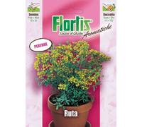 Ruta