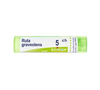Ruta Grav Boi*5Ch 80Gr 4G