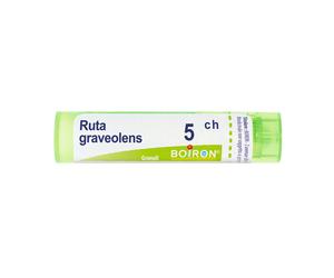 Ruta Grav Boi*5Ch 80Gr 4G
