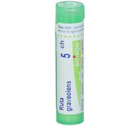RUTA GRAVEOLENS*5CH 80GR 4G